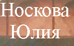 Дизайнер Носкова Юлия - реальные отзывы клиентов о дизайнере в Твери